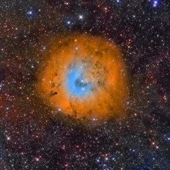 Little Rosette - Sh2-170