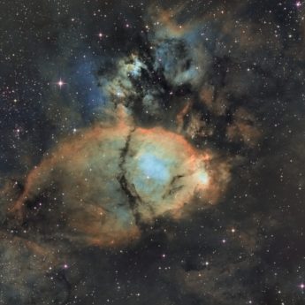 Head fish nebula
