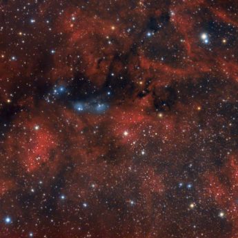 NGC 6914 LRGB