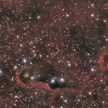 vdB 142 (Elephant's Trunk nebula)
