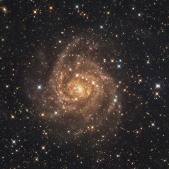 IC342 Galaxy