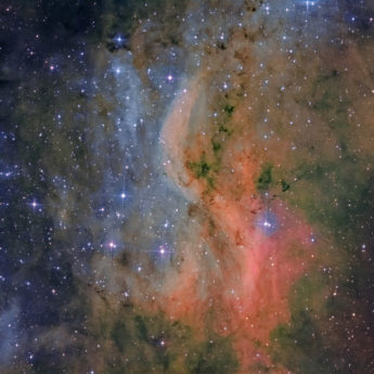 DWB111 (Propeller Nebula) in SHO-RVB
