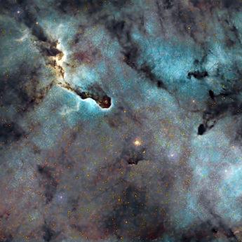 elephant trunk nebula