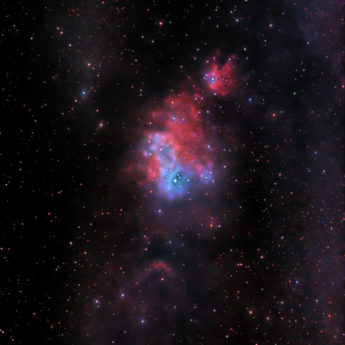 NGC 2264