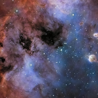 IC 410 the tadpoles