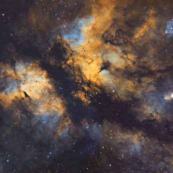 IC1318 Butterfly Nebula