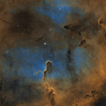 IC1396 Elephants Trunk Nebula