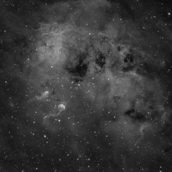 IC410 Tadpole Nebula