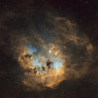 IC410 Tadpole Nebula