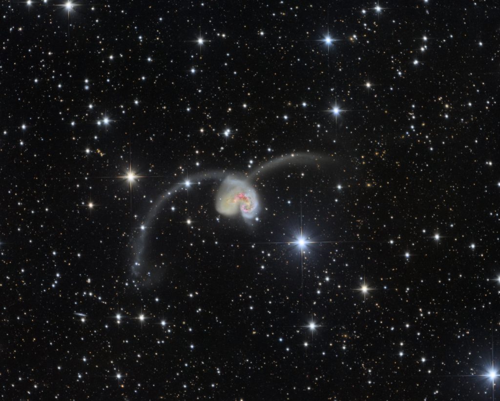 Antennae Galaxy - 2019 Astrophotography Competition Winner