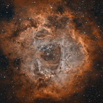 Rossette Nebula NGC2244