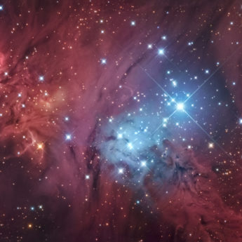 NGC2264