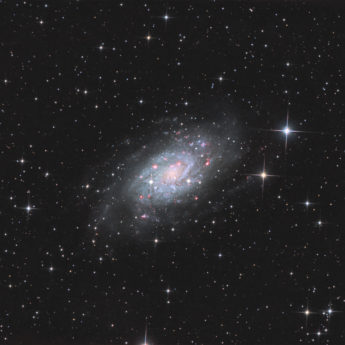 NGC2403 in LRGB