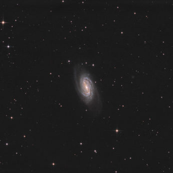 NGC2903 in LRGB