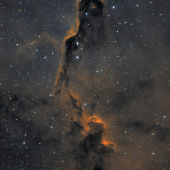 IC1396 Elephant Trunk Nebula
