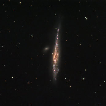 The Whale galaxy NGC4631