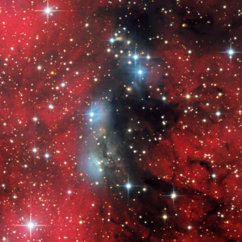 NGC6914