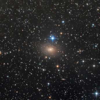IC356