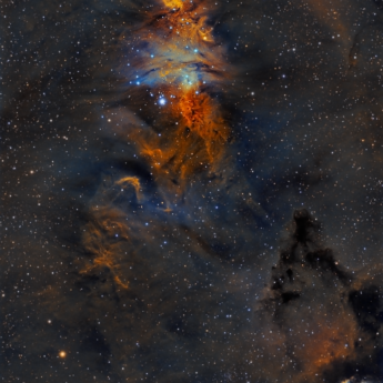 NGC2264