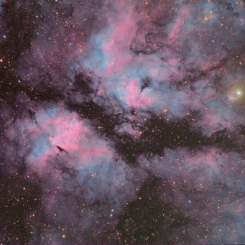 IC1318 Butterfly Nebula