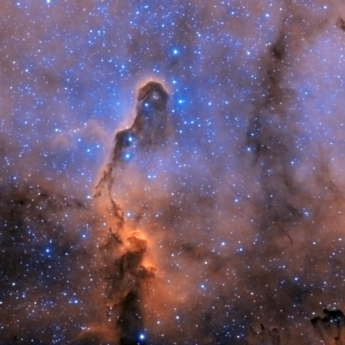 IC1396