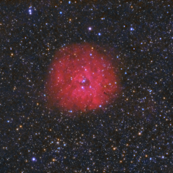 Little Rosette Nebula HaRGB SH2-170