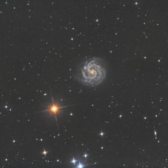 NGC3184
