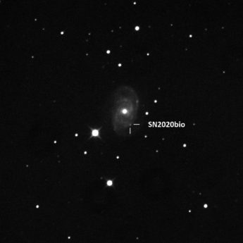 Supernova 2020bio  in  NGC 5371