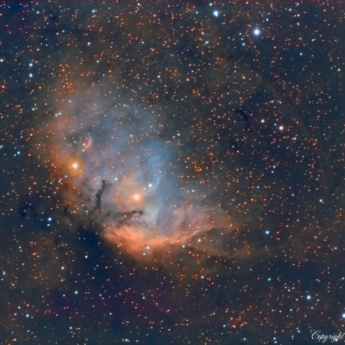 Tulip Nebula Sh2-101