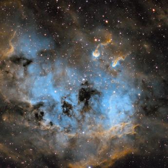 IC410, The Tadpoles Nebula