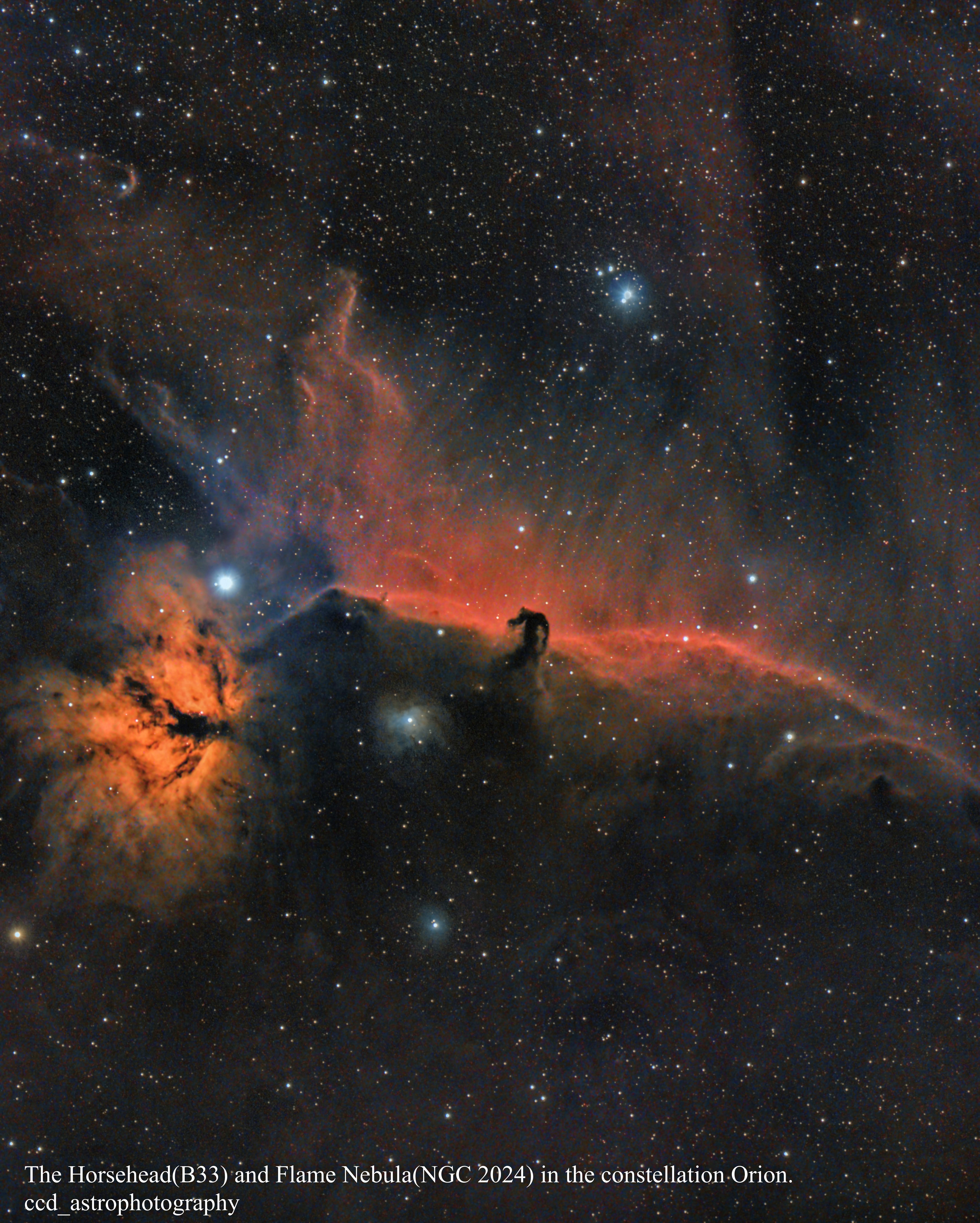 Horsehead Nebula