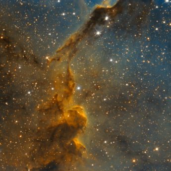 IC1396
