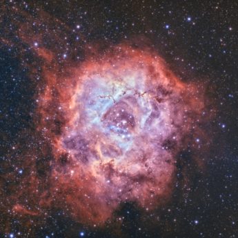 Rosette Nebula