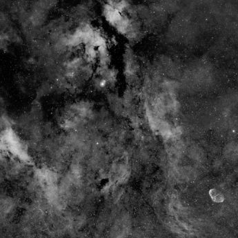 Cygnus 6 panelled mosaic