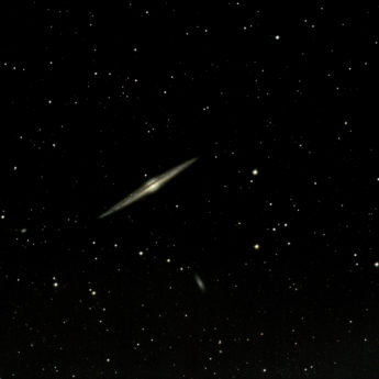NGC4565