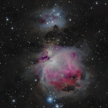 Orion Nebula
