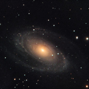 M81
