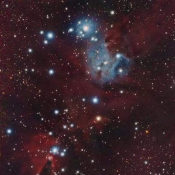 Cone Nebula