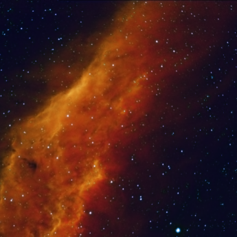 California Nebula