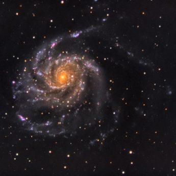 M101