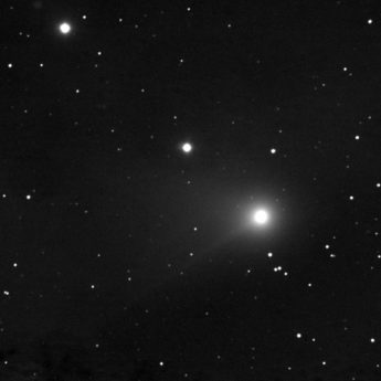 C/ 2020 F3 ( NEOWISE )