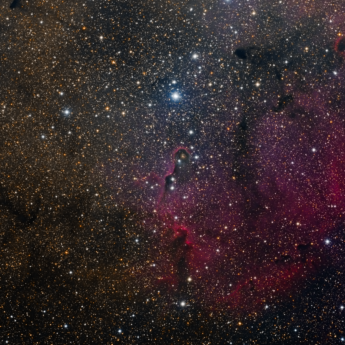 The Elephant's Trunk Nebula (IC 1396) Widefield