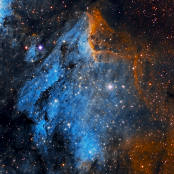 The Pelican Nebula (IC 5070) in Hubble Palette