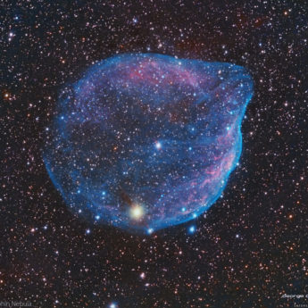Sh2-308 Dolphin Nebula