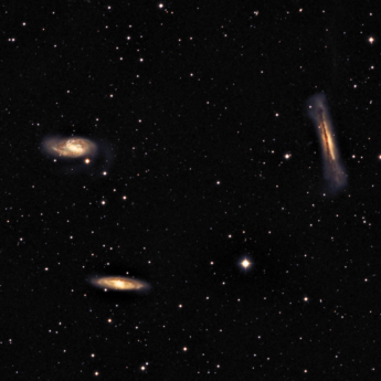 The Leo Triplet (M66 Group)