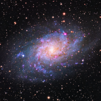 The Triangulum Galaxy (M33)
