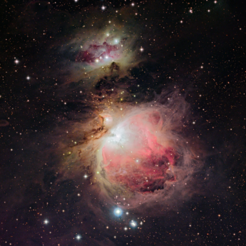 The Orion Nebula (M42)