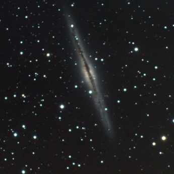 NGC 891