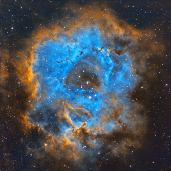 Rosette Nebula