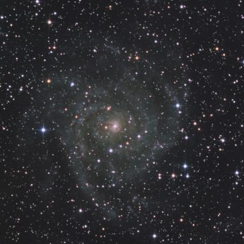 IC 342